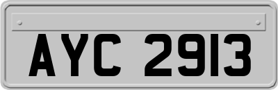 AYC2913
