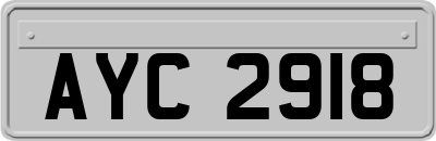 AYC2918