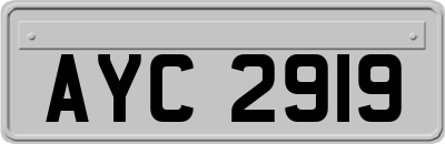 AYC2919