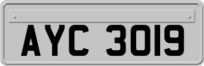 AYC3019