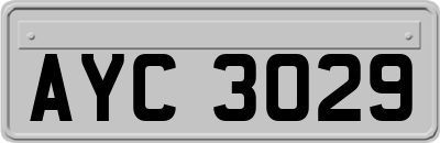 AYC3029