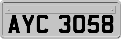 AYC3058