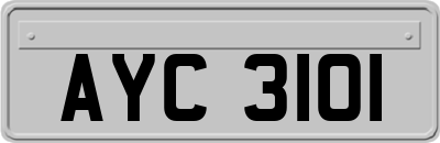 AYC3101