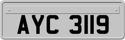 AYC3119