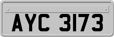 AYC3173