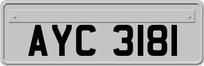AYC3181