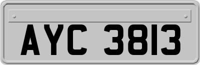 AYC3813