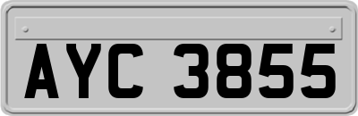 AYC3855