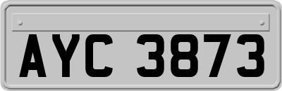 AYC3873