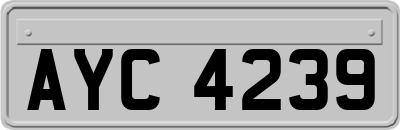 AYC4239