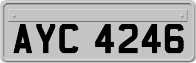 AYC4246