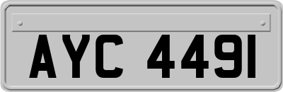 AYC4491