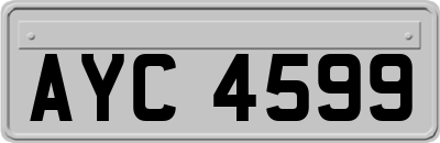AYC4599