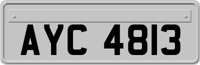 AYC4813