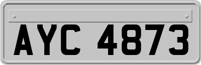 AYC4873