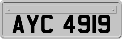 AYC4919