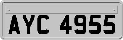 AYC4955