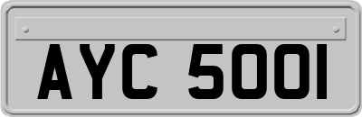 AYC5001