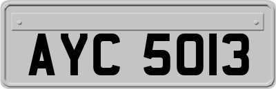AYC5013