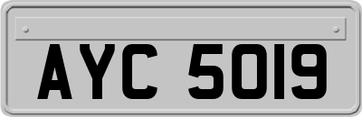 AYC5019
