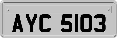 AYC5103