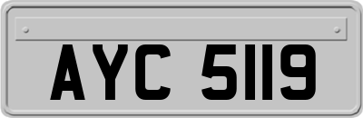 AYC5119