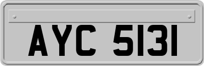 AYC5131