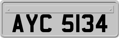 AYC5134