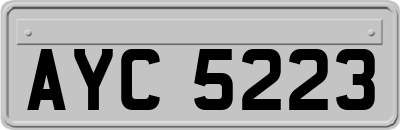 AYC5223