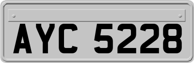 AYC5228