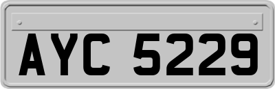 AYC5229