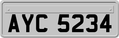 AYC5234