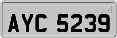 AYC5239