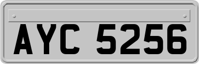 AYC5256