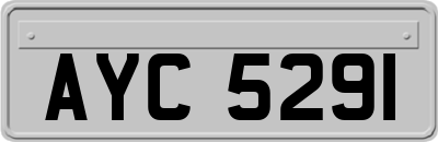 AYC5291