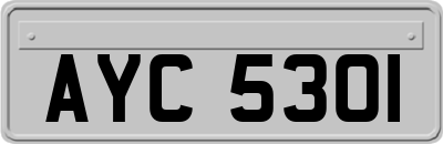 AYC5301