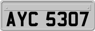 AYC5307