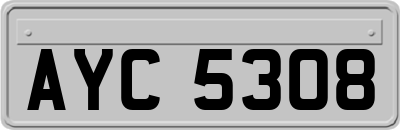 AYC5308