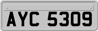 AYC5309