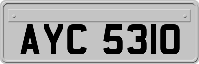 AYC5310