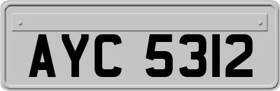 AYC5312