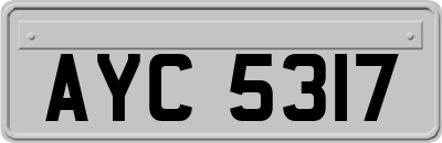 AYC5317