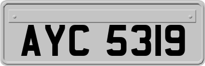 AYC5319