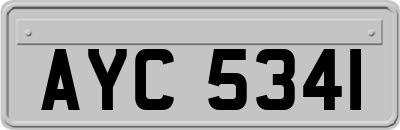 AYC5341