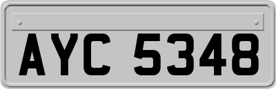 AYC5348