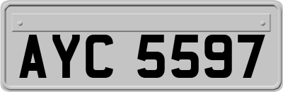 AYC5597