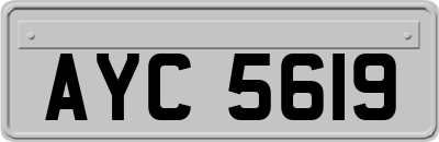 AYC5619