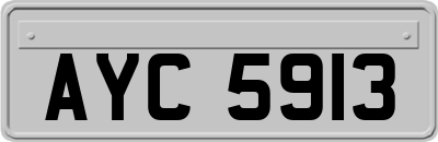 AYC5913