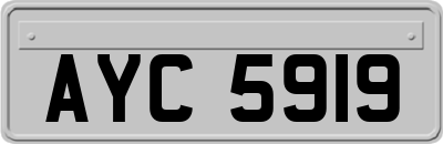 AYC5919