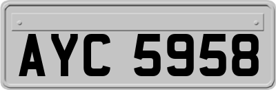 AYC5958